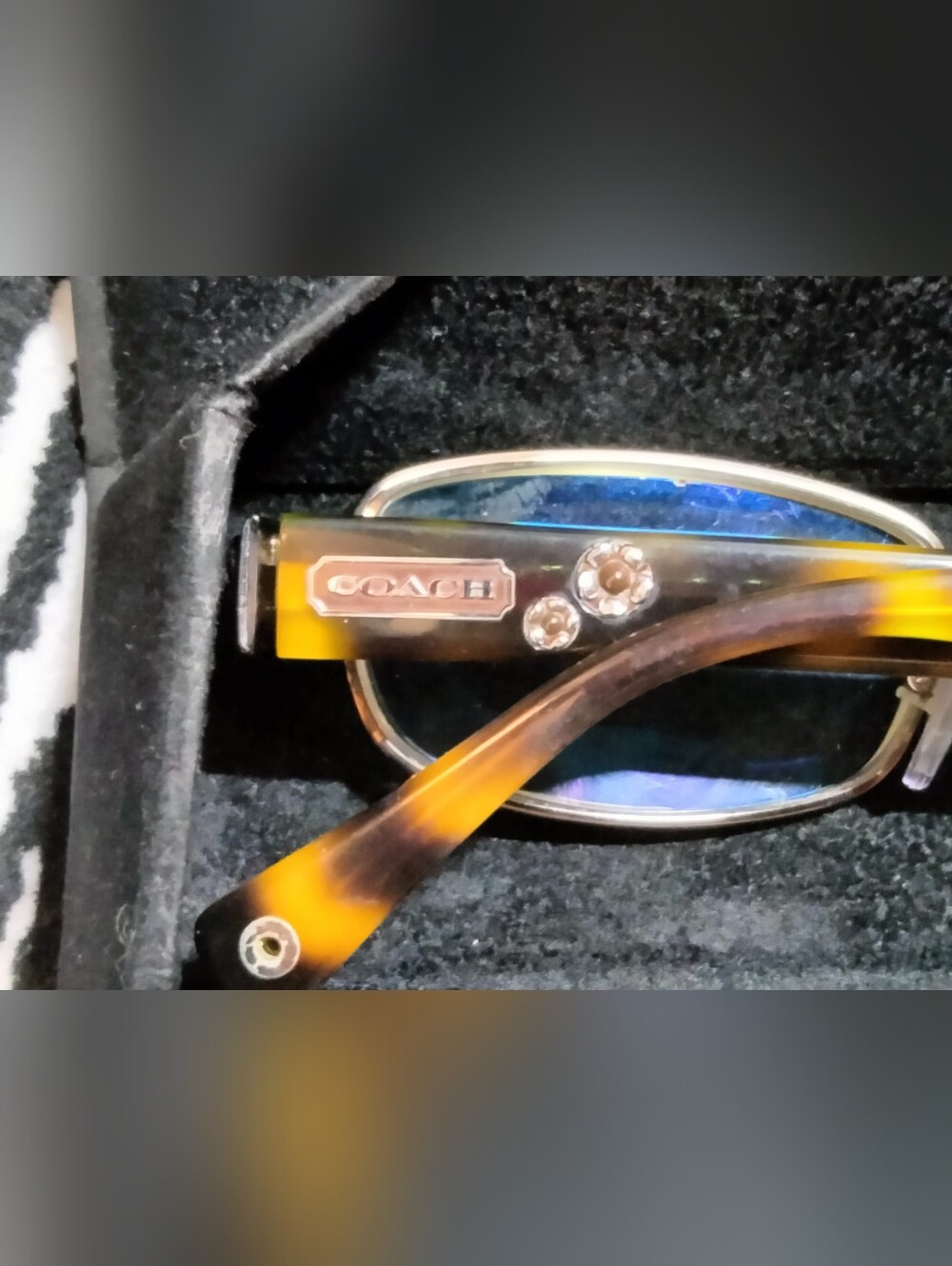 Coach Eyeglasses - Picture 5 of 8